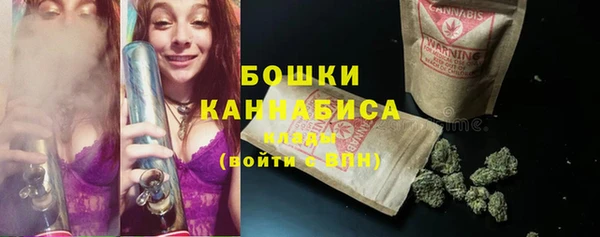стафф Ладушкин