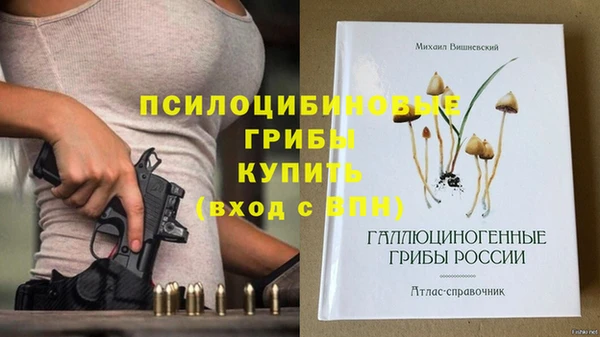 не бодяженный Снежинск