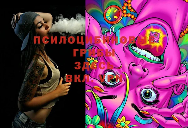 2c-b Кукмор