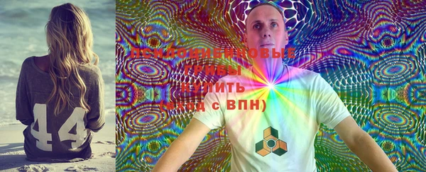 2c-b Кукмор