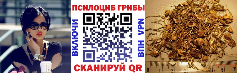 OMG онион  купить наркоту  Крым  Псилоцибиновые грибы мицелий 